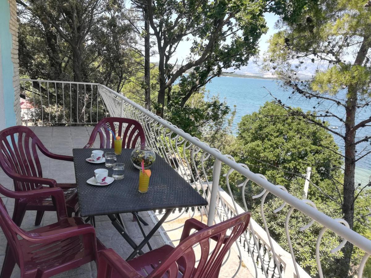 Apartman Volarevic Donji Karin Екстериор снимка